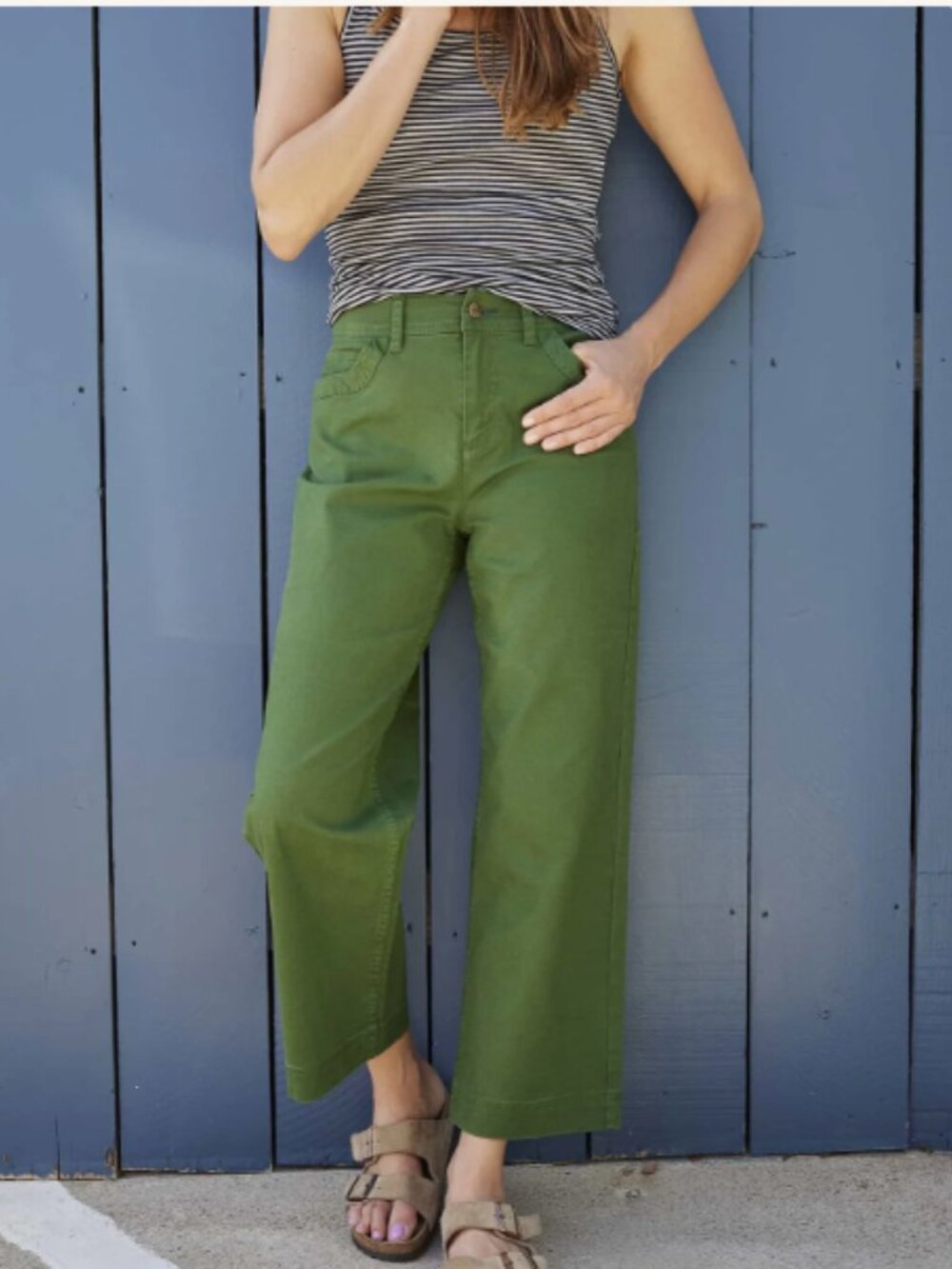 Toad & Co Earthworks Wide Leg cropped pants in Pasture, size 10